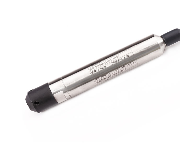 DG1300-QS 潜水式压力传感器