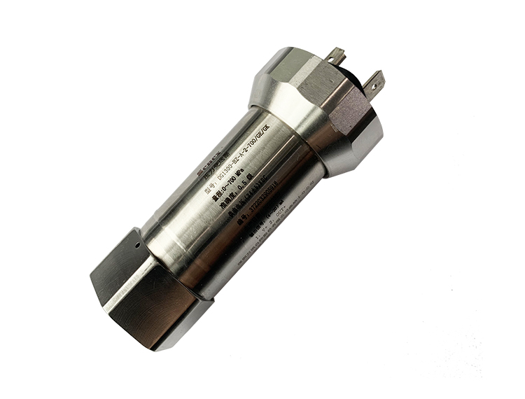 DG2-HP 超高压压力变送器
